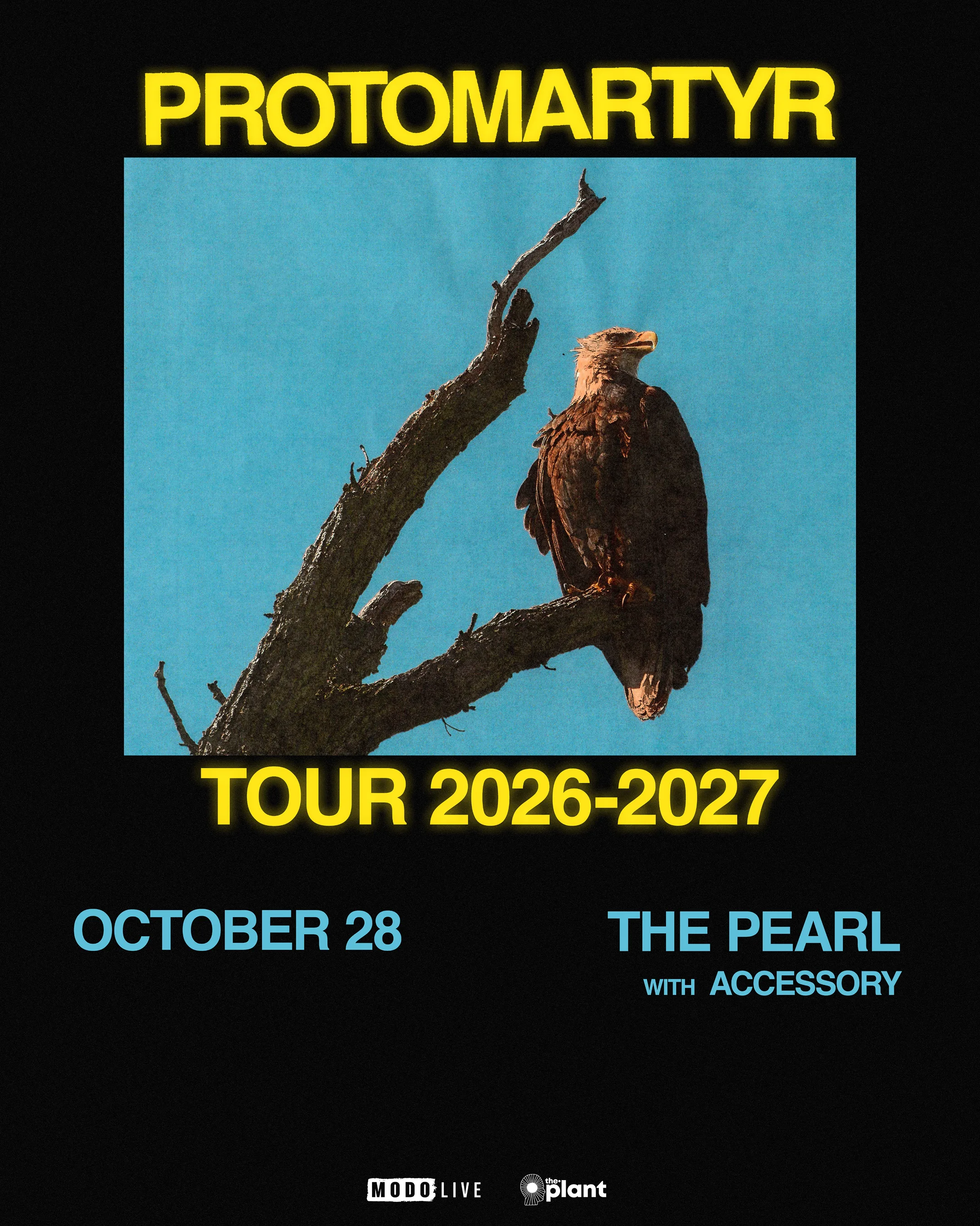 Show poster for PROTOMARTYR at The Pearl